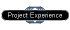 Project Experience
